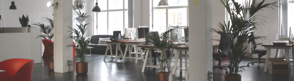 La décoration de bureaux pour améliorer le bonheur au travail