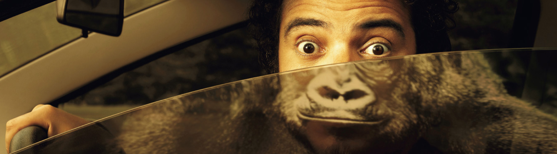 5 Excellents exemples de stickers efficaces